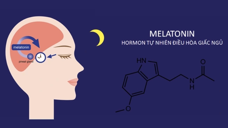 Bổ sung melatonin