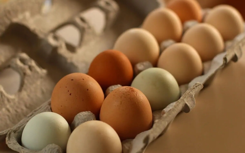 Giá trứng gà hôm nay 07/12 Giá trứng gà hôm nay 07/12