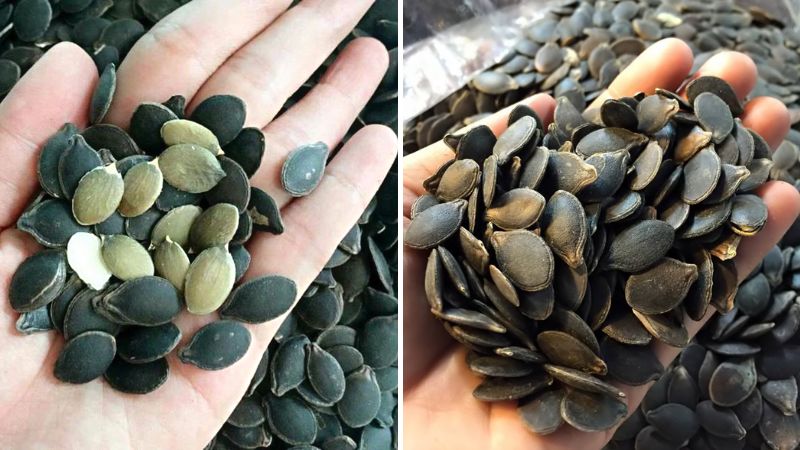 The price of black pumpkin seeds is quite expensive