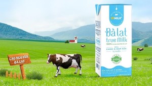 Sữa tươi Đà Lạt True Milk của công ty nào? Các sản phẩm của Đà Lạt True Milk