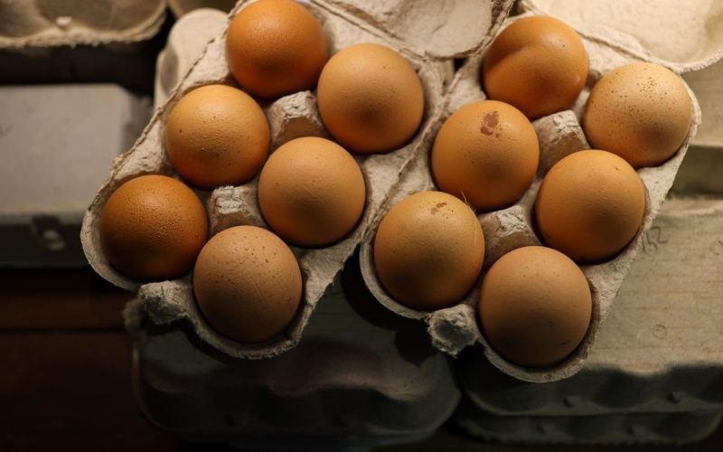 Giá trứng gà hôm nay 08/12 Giá trứng gà hôm nay 08/12