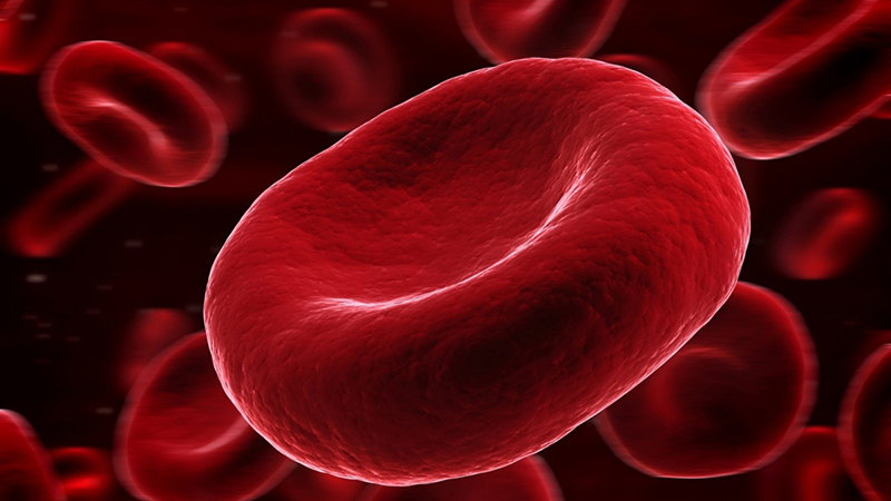 Viêm khớp dạng thấp khiến bạn không có đủ các tế bào hồng cầu