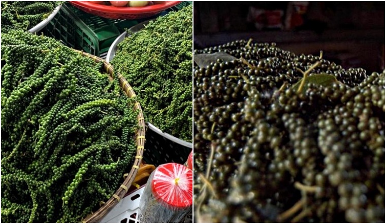 Giá tiêu hôm nay 9/12/2022: Giảm 1.000 đồng/kg, dao động 59.000-62.000 đồng/kg