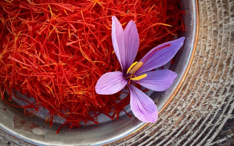 Nhuỵ hoa nghệ tây saffron là gì?