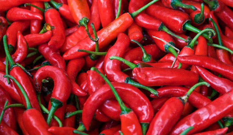 Giá ớt hôm nay 10/12/2022: Không biến động so với hôm qua