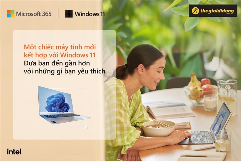 Windows 11 Windows 11