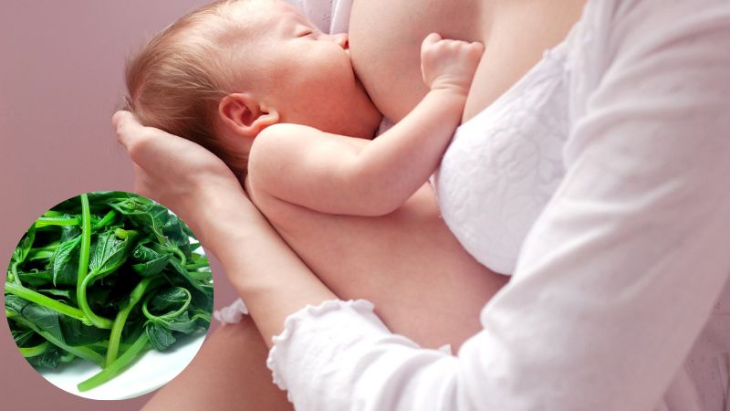 Rau lang có tốt cho mẹ sau sinh không? Lưu ý khi mẹ bầu ăn rau lang
