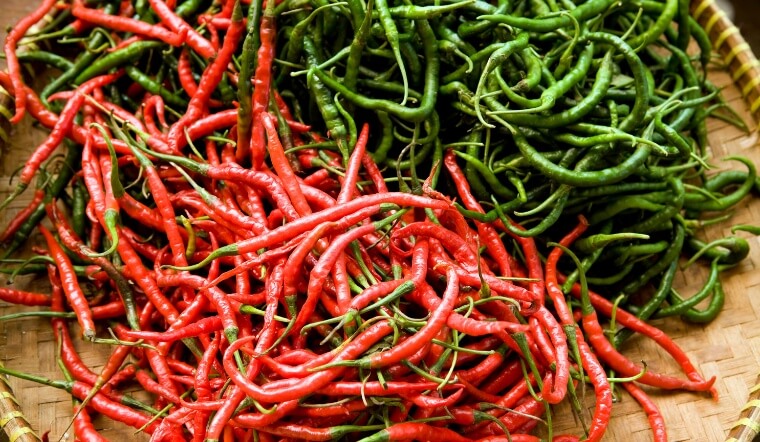 Giá ớt hôm nay 13/12/2022: Giá cả nước có sự giảm nhẹ