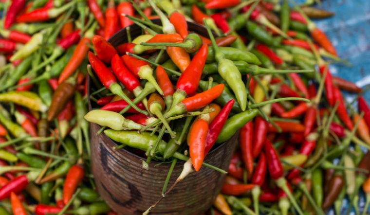 Giá ớt hôm nay 14/12/2022: Ớt cổ nhì giảm 1000 đồng