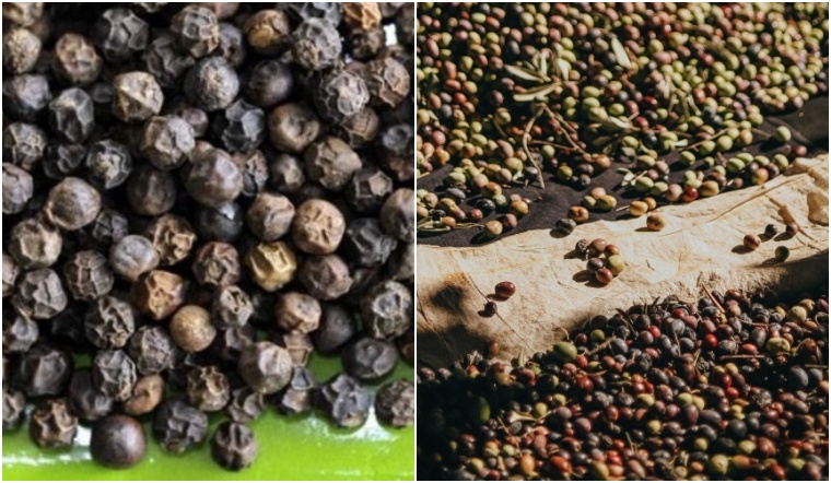 Giá tiêu hôm nay 15/12/2022: Giảm 500 đồng/kg, dao động 57.000-60.000 đồng/kg