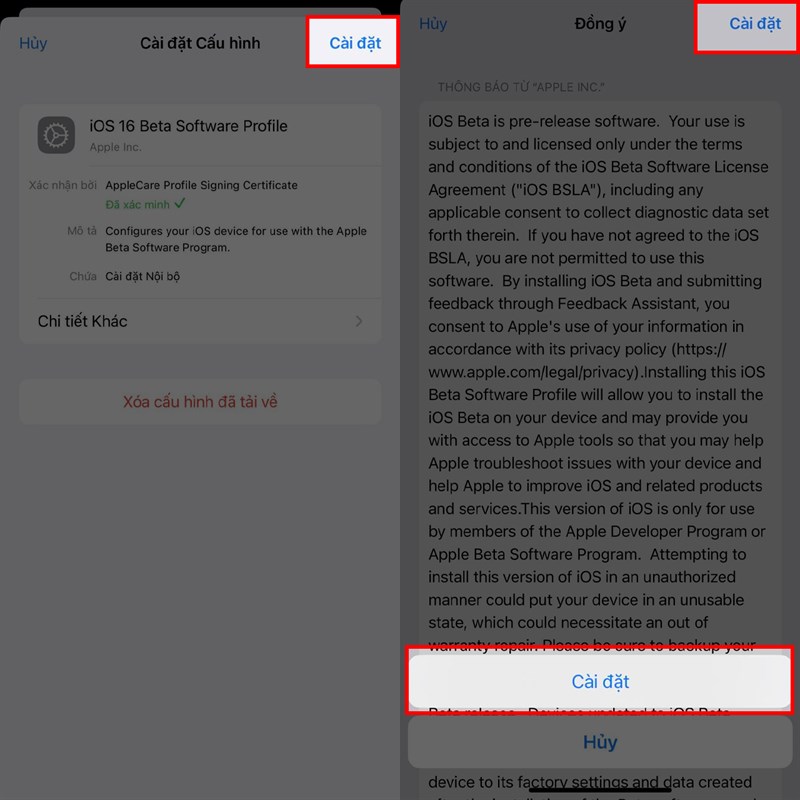 Cách cập nhật iOS 16.3 Beta 1