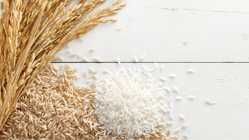 Giá lúa hôm nay 15/12