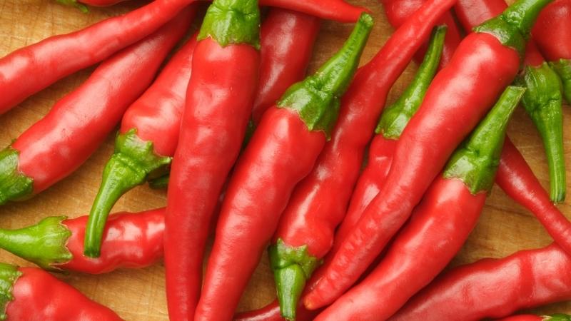 Giá ớt hôm nay 17/12/2022 mới nhất