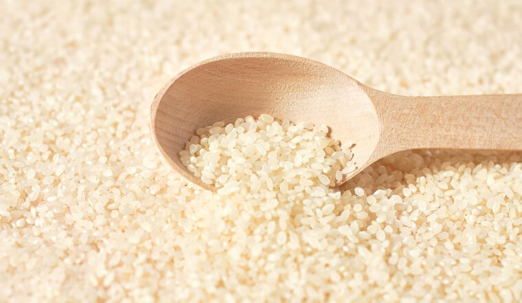 Giá lúa gạo hôm nay 20/12/2022: Lúa OM 18 giảm 100 đồng/kg