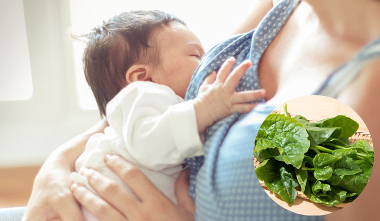 Những lưu ý cho phụ nữ sau sinh khi sử dụng rau mồng tơi