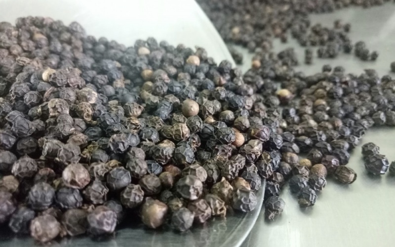 Giá tiêu thế giới