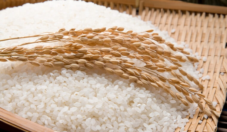 Giá lúa gạo hôm nay 21/12/2022: Lúa Nàng Hoa 9 giảm 100 đồng/kg