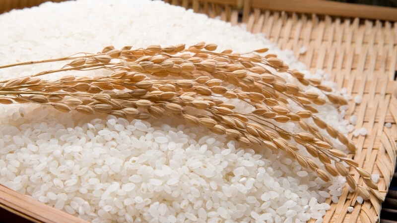 Giá gạo hôm nay 21/12