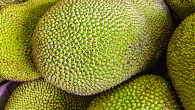 Giá mít tiếp tục giảm do sức mua yếu