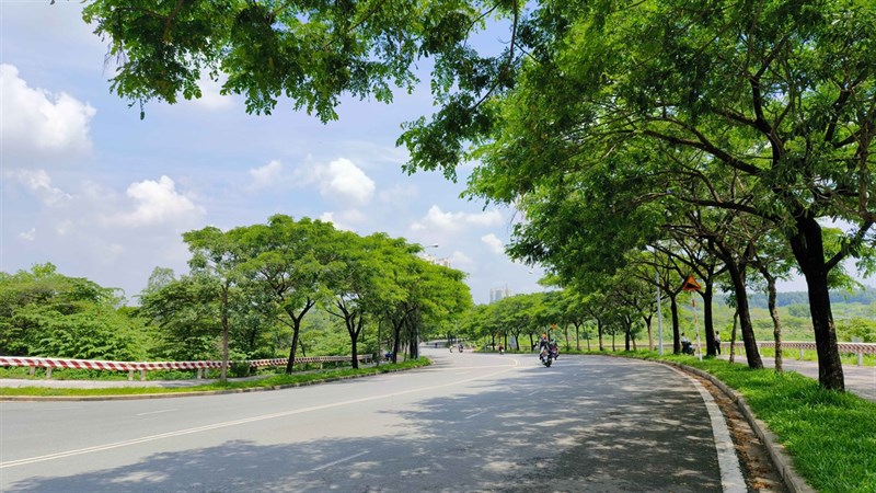 Ảnh phong cảnh thực tế chụp từ camera chính Vivo X80