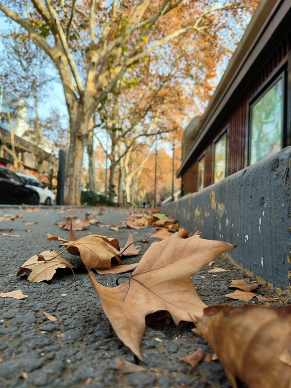 Hình ảnh được chụp bởi camera góc siêu rộng của OPPO Find N2 Flip. Nguồn: Weibo. Hình ảnh được chụp bởi camera góc siêu rộng của OPPO Find N2 Flip. Nguồn: Weibo.