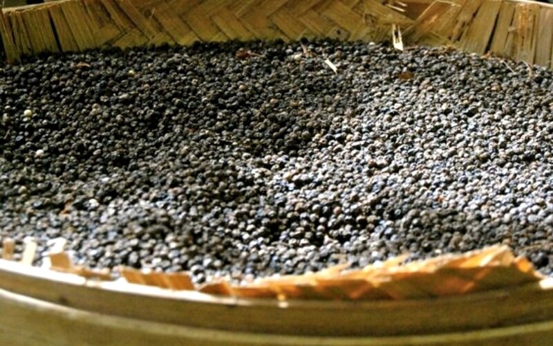 Giá tiêu thế giới