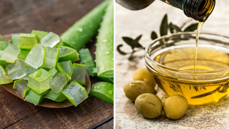 Mẹo hay dùng nha đam nấu cùng dầu olive giúp trị rụng tóc hiệu quả