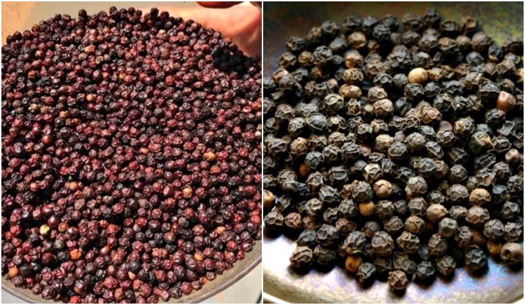 Giá tiêu hôm nay 25/12/2022: Tiếp tục ổn định, dao động 57.000-59.500 đồng/kg