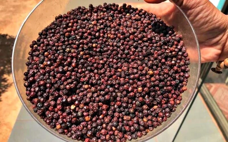 Giá tiêu thế giới