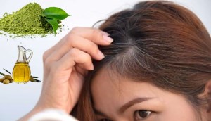 Mẹo trị tóc bạc sớm hiệu quả từ bột trà xanh và dầu oliu