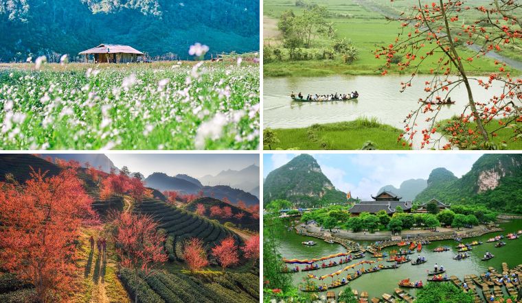 Tổng hợp 6 địa điểm du xuân miền Bắc không nên bỏ qua