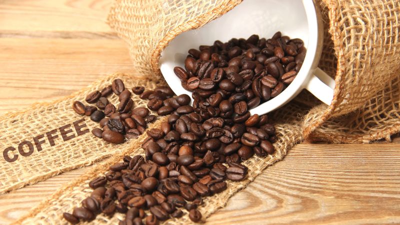 Giá cà phê trong nước hôm nay
