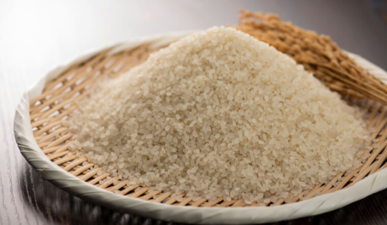 Giá lúa gạo hôm nay 29/12/2022: Hầu hết các giống lúa gạo ổn định