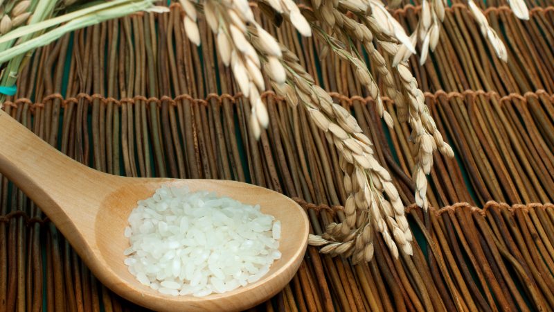 Giá gạo hôm nay 31/12