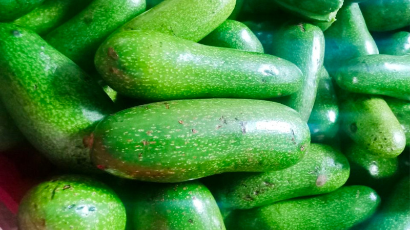 Finger avocado is a rare item, so the price is high