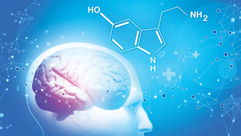 What is Serotonin hormone? How to increase the body’s natural Serotonin
