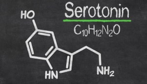 Hormone Serotonin là gì? Cách tăng cường Serotonin tự nhiên cho cơ thể