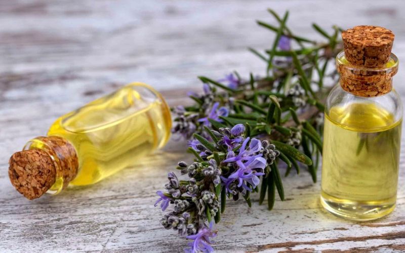 Rosemary oil prevents breakage and premature graying