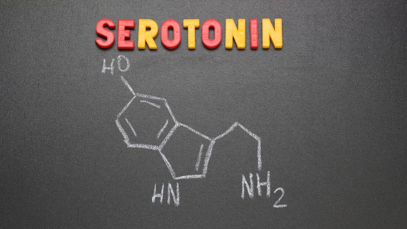 Serotonin giúp điều chỉnh tâm trạng