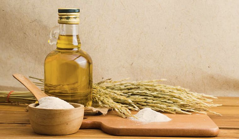 Tìm hiểu về  Rice Germ Oil (dầu cám gạo) và công dụng cho làn da 