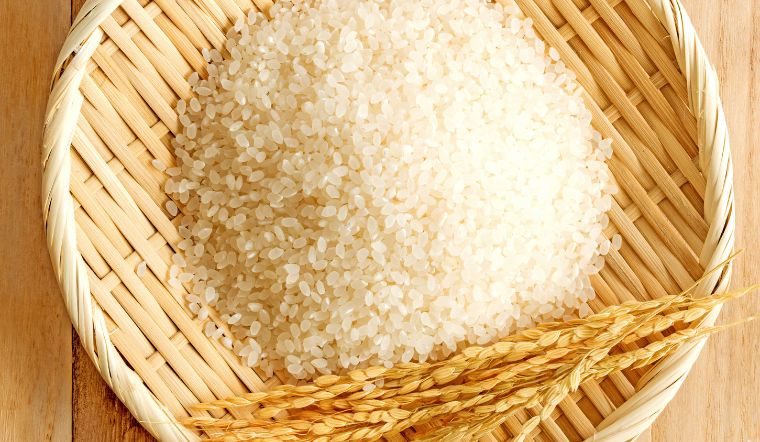 Giá lúa gạo hôm nay 5/1/2023: Tiếp tục duy trì ở mức ổn định