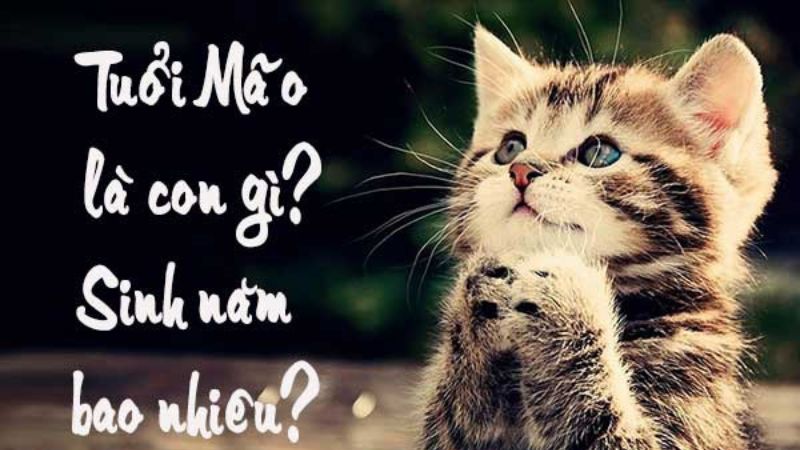 Tuổi Tam mã hợp với tuổi nào? Màu gì? sinh năm nào?