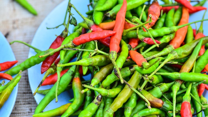 Giá ớt hôm nay 06/01/2023: Giá ớt các loại có sự thay đổi