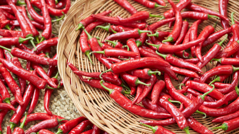 Giá ớt hôm nay 06/01/2023 mới nhất Giá ớt hôm nay 06/01/2023 mới nhất