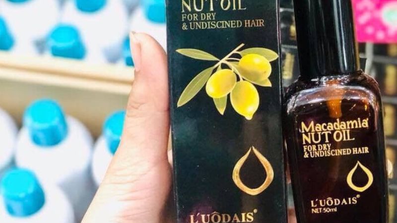 Tinh dầu Macadamia giúp nuôi dưỡng tóc uốn L'UODAIS