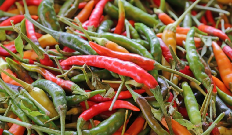 Giá ớt hôm nay 09/01/2023: Giá cả nước giảm mạnh đột ngột