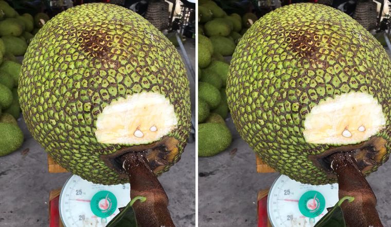 Giá mít Thái hôm nay 09/01/2023: Giá mít Tiền Giang vẫn ở mức 34.000 đồng/kg