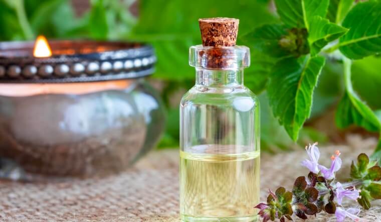 Tinh dầu hương nhu: Công dụng và những lưu ý khi dùng