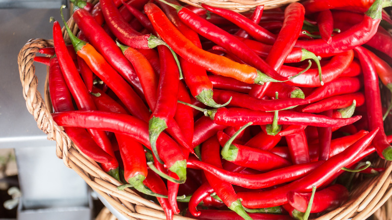 Giá ớt hôm nay 10/01/2023 mới nhất Giá ớt hôm nay 10/01/2023 mới nhất