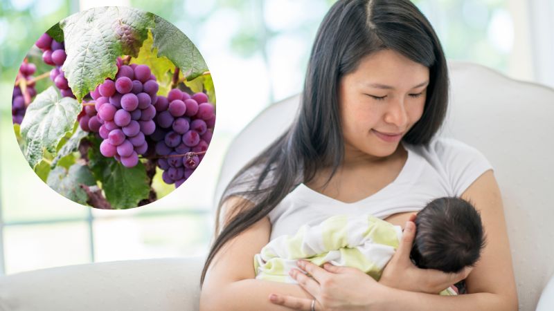 Sau sinh ăn nho có tốt không? Tìm hiểu lợi ích và những lưu ý quan trọng